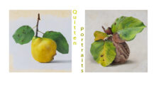Diethard Sohn – Quittenportraits